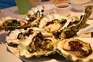 steamed oysters